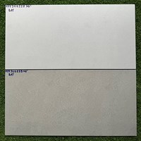 Đá mờ ốp tường Royal Hoàng Gia 30x60 HPD-366158-159