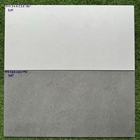 Đá mờ ốp tường Royal Hoàng Gia 30x60 HPD-366159-160