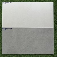 Đá mờ ốp tường Royal Hoàng Gia 30x60 HPD-366161-162