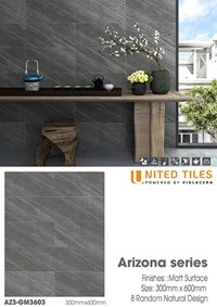 Đá mờ ốp tường Viglacera 300x600 AZ3-GM3603