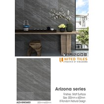 Đá mờ ốp tường Viglacera 300x600 AZ3-GM3603