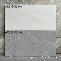 Đá mờ ốp tường Viglacera 300x600 AZ8-GM3601-3602