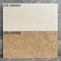 Đá mờ ốp tường Viglacera 300x600 AZ8-GM3604-3605