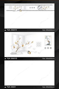 Đá ốp tường Mikado 30x60 bóng TQA-30601