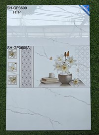 Đá ốp tường Viglacera 300x600 SH-GP3609