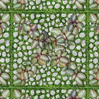 Đá sân vườn Đồng Tâm 4040GREENERY004