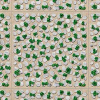 Đá sân vườn Đồng Tâm 4040GREENERY005