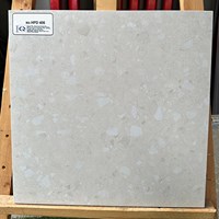 Đá thạch anh đồng chất 40x40 HPD406