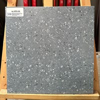 Đá thạch anh đồng chất 40x40 HPD416
