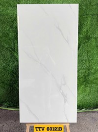 Gạch Ấn Độ 60x120 bóng TTV60121B