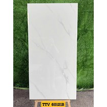 Gạch Ấn Độ 60x120 bóng TTV60121B