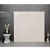 Gạch lát nền Tasa 120x120 9534