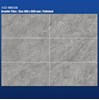 Gạch ốp tường Viglacera 40x80 bóng ASD 4865GP-4866GP