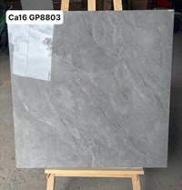 Gạch lát nền Viglacera 80x80 CA16 GP8803