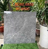 Gạch lát nền Tasa 80x80 8560