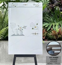 Gạch ốp tường Hà Thanh 30x60 bóng HTP3602