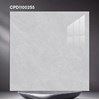 Gạch lát nền CMC 100x100 CPD11002S5