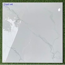 Gạch lát nền giá rẻ 600x600 ST6005