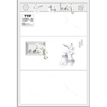 Gạch ốp tường giá rẻ 30x60 TTPV38616C