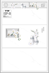 Gạch ốp tường giá rẻ 30x60 TTPV38616C