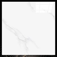 Gạch lát nền Thắng Cường 100x100 1139