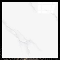 Gạch lát nền Thắng Cường 100x100 1139