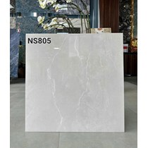Gạch lát nền Apodio 80x80 bóng C88NS805