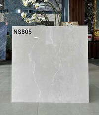 Gạch lát nền Apodio 80x80 bóng C88NS805
