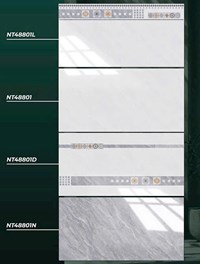Gạch ốp tường Ý Mỹ 40x80 NT48801