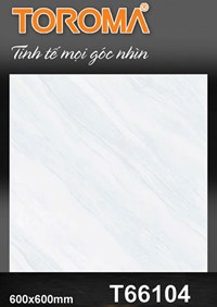 Gạch lát nền Tô Thành Phát 60x60 bóng T66104
