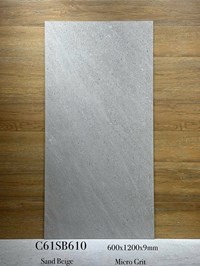 Gạch ốp lát Apodio 60x120 mờ C61SB610