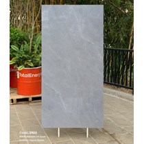 Gạch Tasa 90x180 bóng 2902