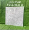 Gạch lát nền Tasa 60x60 bóng FST.5788