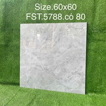Gạch lát nền Tasa 60x60 bóng FST.5788
