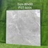 Gạch lát nền Tasa 80x80 bóng FST.9204