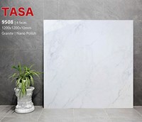 Gạch lát nền Tasa 120x120 9508