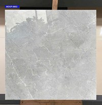 Gạch lát nền Viglacera 80x80 MDGP-8802