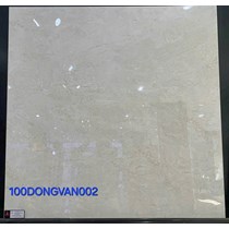 Gạch lát nền Đồng Tâm 100DONGVAN002