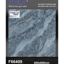 Gạch lát nền Tô Thành Phát 60x60 bóng F66409