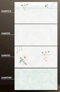 Gạch ốp tường Ý Mỹ 40x80 S4807