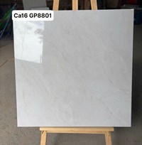 Gạch lát nền Viglacera 80x80 CA16 GP8801