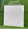 Gạch lát nền Tasa 80x80 bóng FST.9213