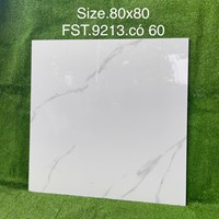 Gạch lát nền Tasa 80x80 bóng FST.9213