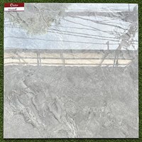 Gạch lát nền giá rẻ 80x80 80105
