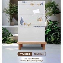 Gạch ốp tường Hà Thanh 30x60 TTV3903