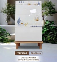 Gạch ốp tường Hà Thanh 30x60 TTV3903