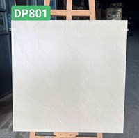 Gạch lát nền Việt Ý 80x80 mờ DP801