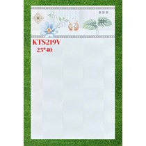 Gạch ốp tường giá rẻ 25x40 KTS219V