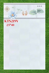 Gạch ốp tường giá rẻ 25x40 KTS219V