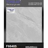 Gạch lát nền Tô Thành Phát 60x60 bóng F66405
